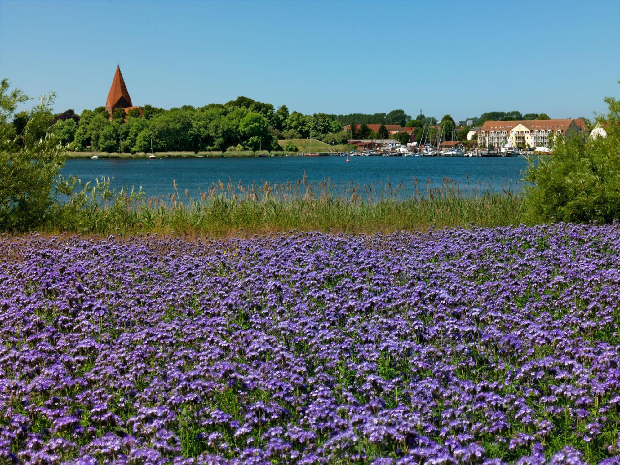 Ferienanlage Poschmann Strohboden Insel Poel Exterior photo