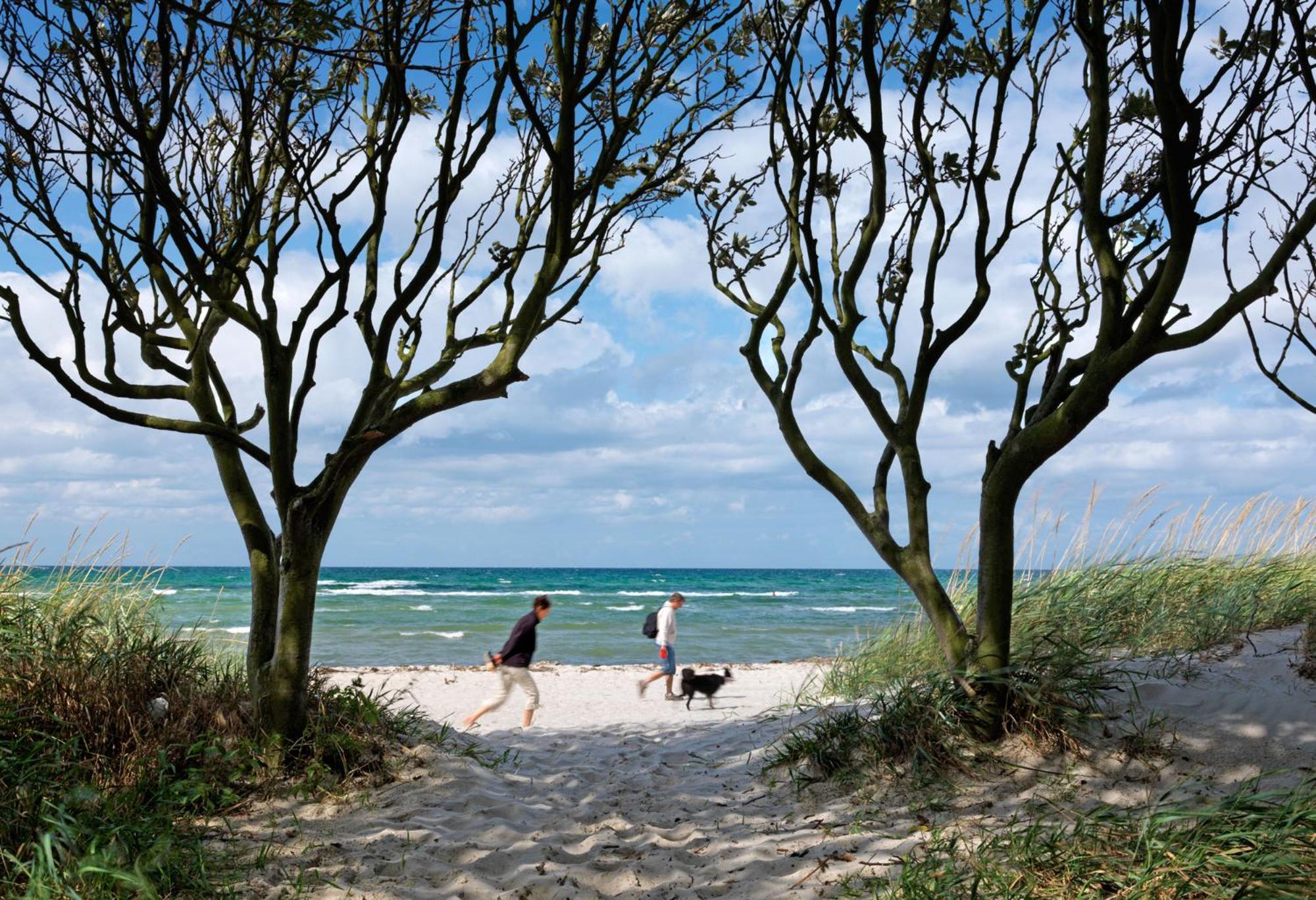 Ferienanlage Poschmann Strohboden Insel Poel Exterior photo